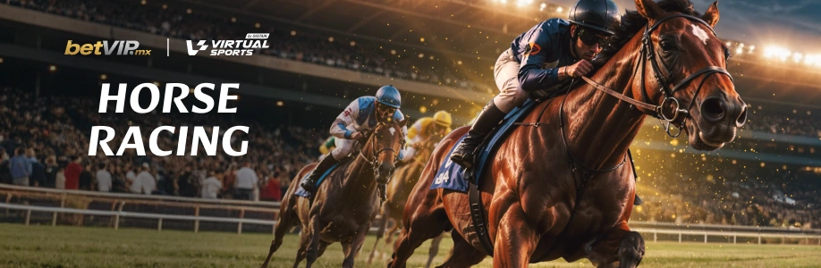 Greyhound Racing